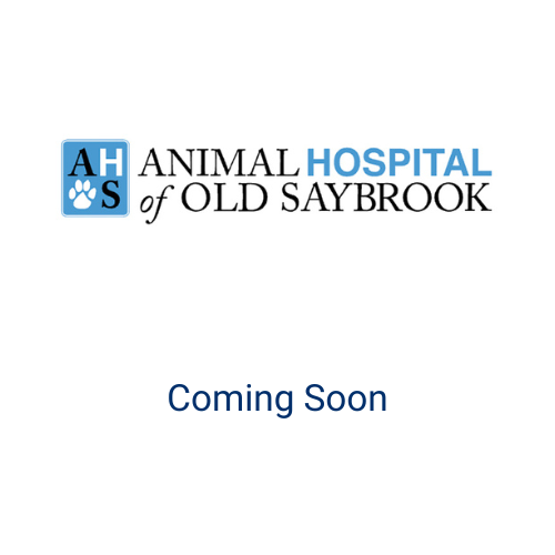 Animal Hospital of Old Saybrook hospital building