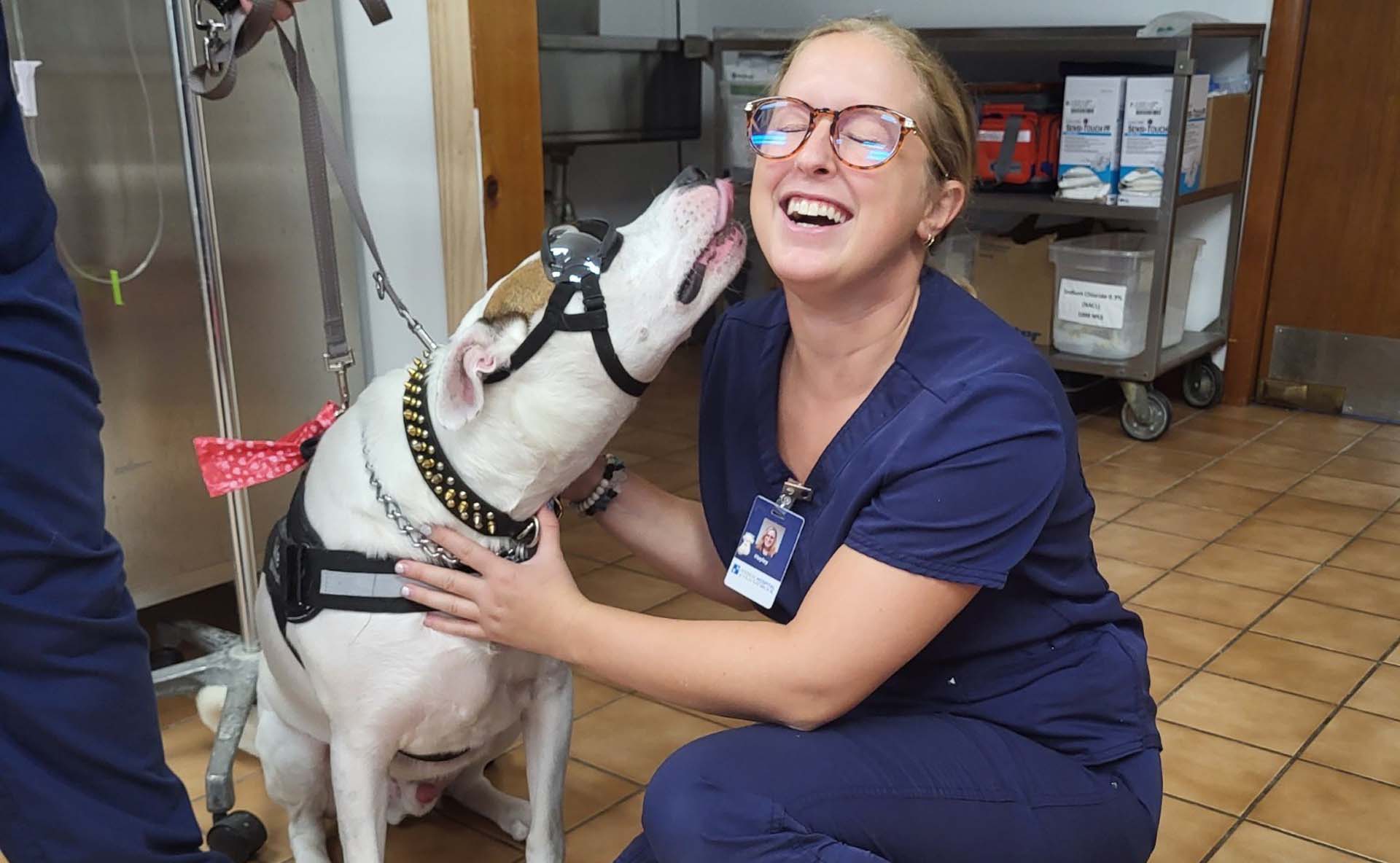 Old Saybrook CT 06475 Veterinary Jobs Animal Hospital   Charlie And Hayley 