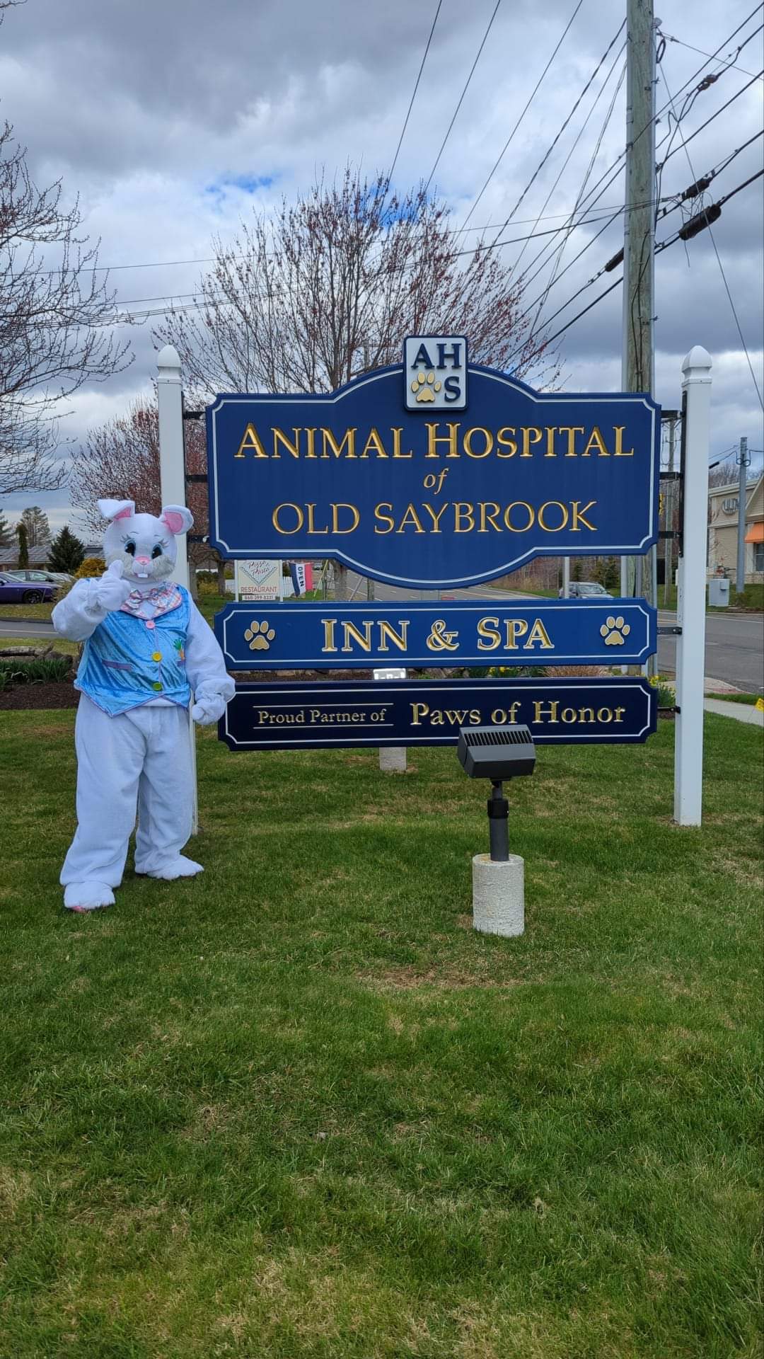 Animal Hospital of Old Saybrook easter celebration