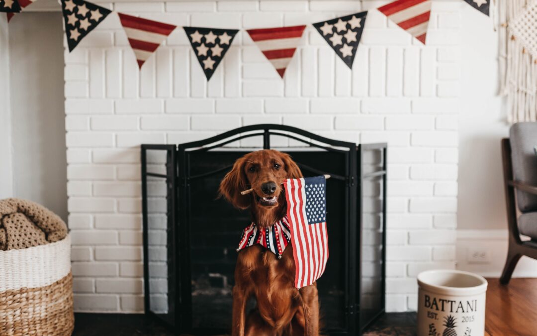 Golden retriever holding American flag in mouth, wearing a festive collar with American flag banners behind