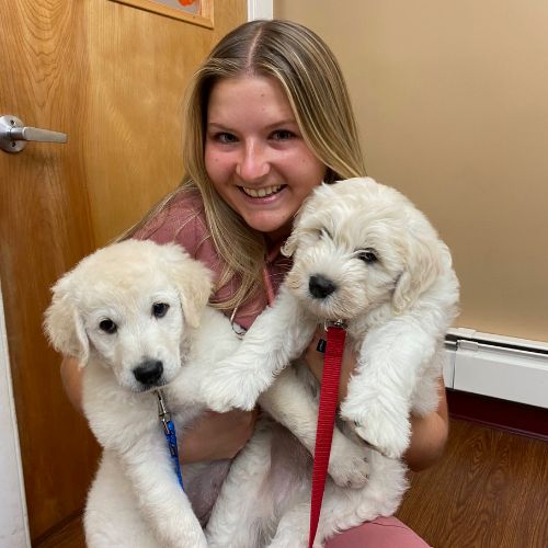 Kate Amara, DVM Animal Hospital of Old Saybrook hospital building